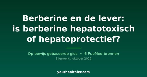 Berberine en de lever: is berberine hepatotoxisch of hepatoprotectief?