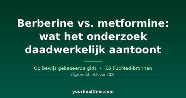 Berberine vs. metformine: wat het onderzoek daadwerkelijk aantoont
