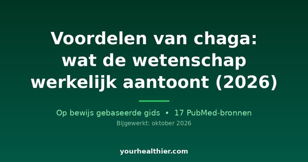 Voordelen van chaga: wat de wetenschap werkelijk aantoont (2026)