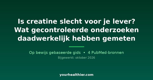 Is creatine slecht voor je lever? Wat gecontroleerde onderzoeken daadwerkelijk hebben gemeten