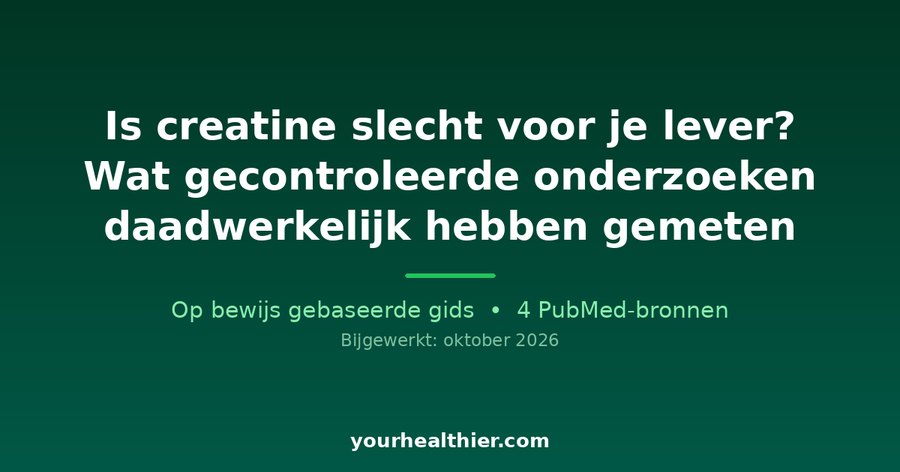 Is creatine slecht voor je lever? Wat gecontroleerde onderzoeken daadwerkelijk hebben gemeten
