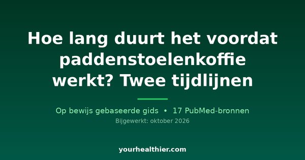Hoe lang duurt het voordat paddenstoelenkoffie werkt? Twee tijdlijnen
