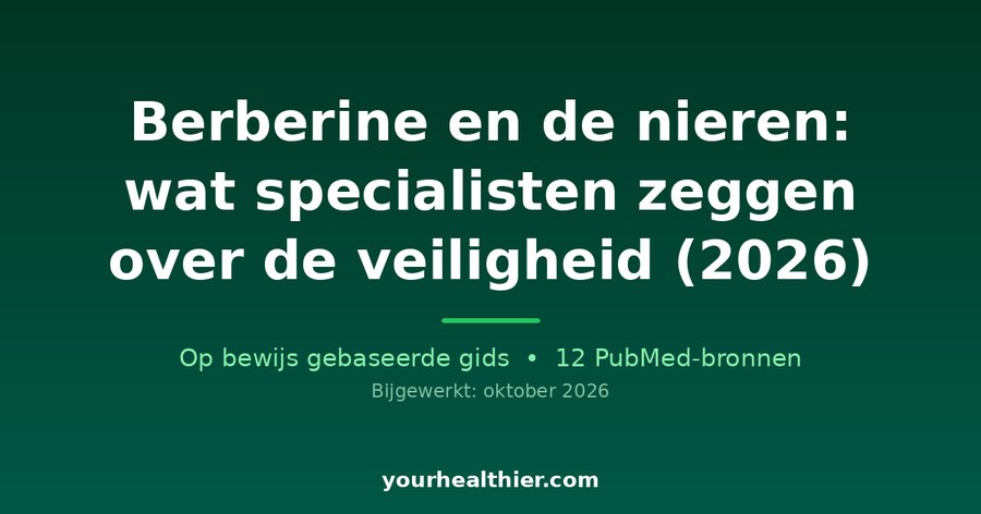 Berberine en de nieren: wat specialisten zeggen over de veiligheid (2026)